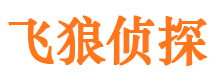 安县婚外情调查